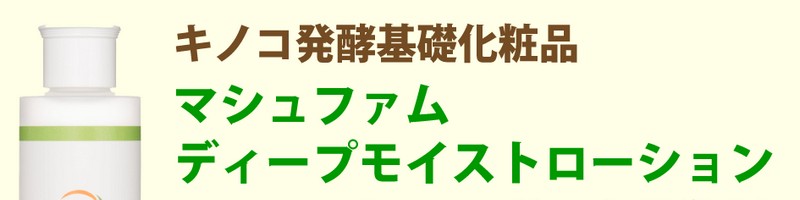 �������E�N��̂��߂̔��y��b���ϕi�y�}�V���t�@���z���T�C�g